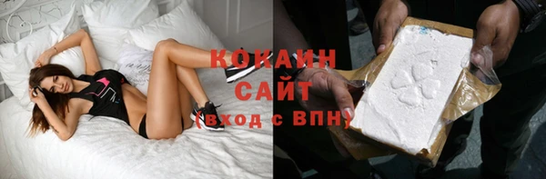 индика Балахна
