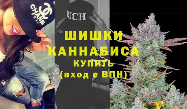 индика Балахна