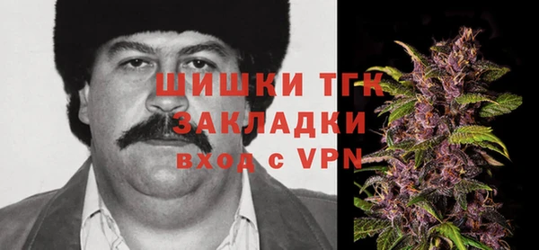 индика Балахна