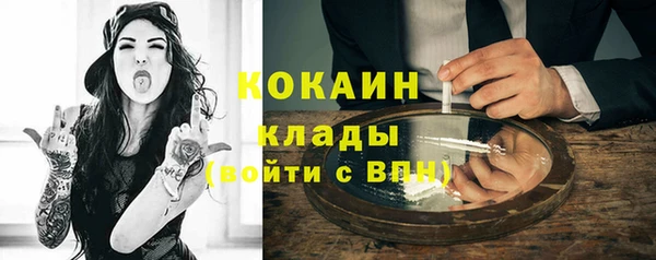 индика Балахна